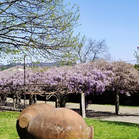 Glicinia Boutique Hotel