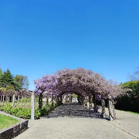 Glicinia Boutique 酒店 弗雷蒙德