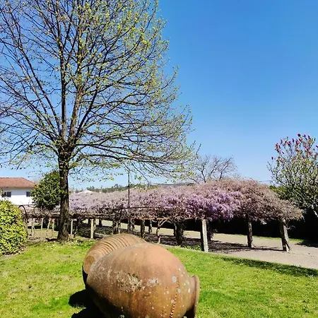 Hotel Glicínia Boutique 4*