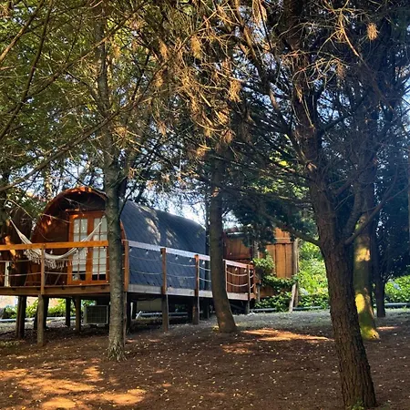 Glicinia Boutique 4* Freamunde