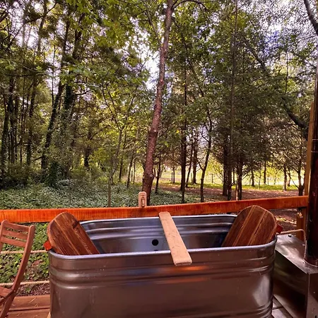 酒店 Glicinia Boutique