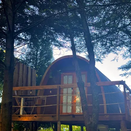 Glicinia Boutique 酒店 4*