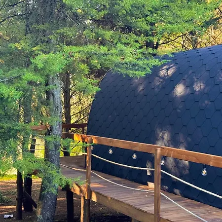 酒店 Glicinia Boutique 4*