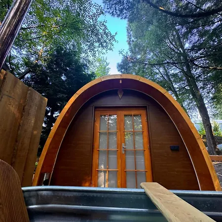 酒店 Glicinia Boutique 4*