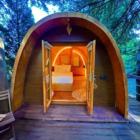 Glicinia Boutique 酒店 弗雷蒙德