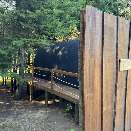 Glicinia Boutique Freamunde