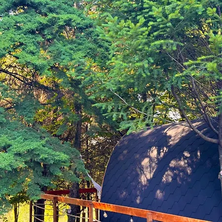 酒店 Glicinia Boutique 4*