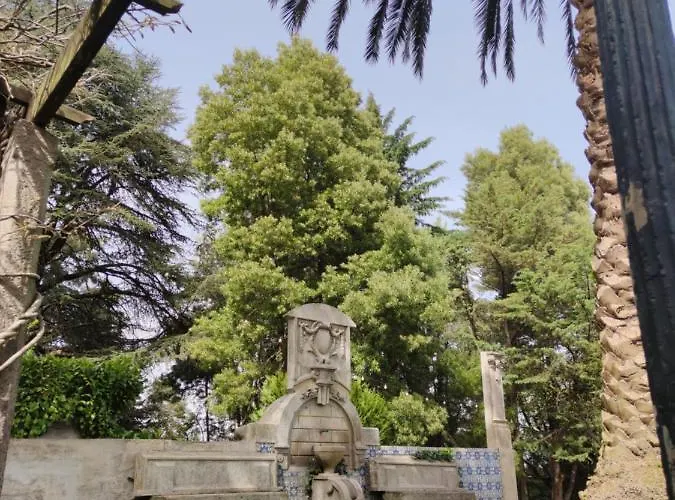 Glicínia Boutique 4* Freamunde