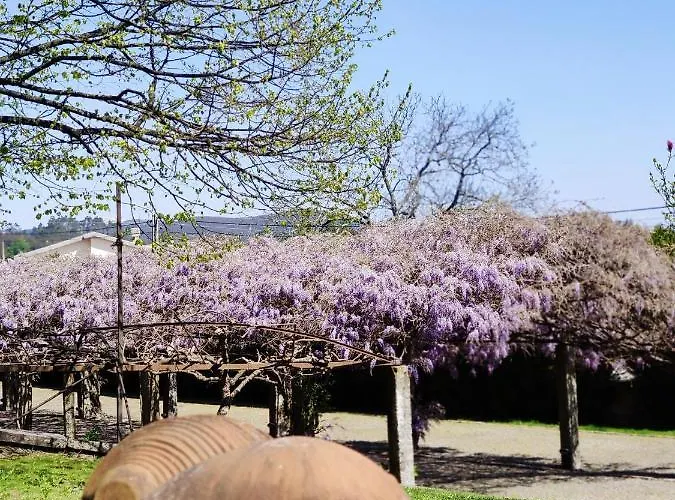 Glicinia Boutique Hotel