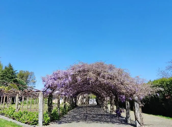 Glicinia Boutique Hotel Ξενοδοχείο Freamunde