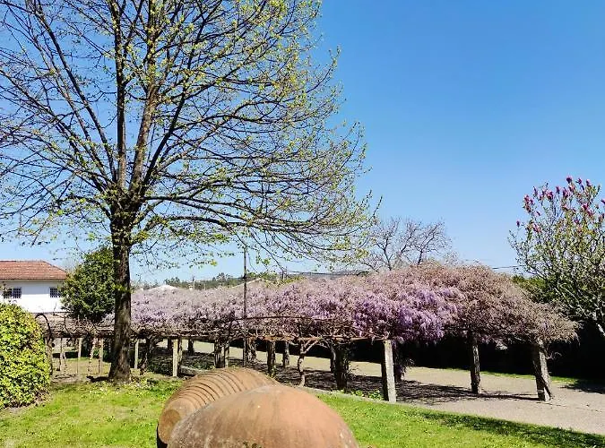 Hotel Glicinia Boutique 4*