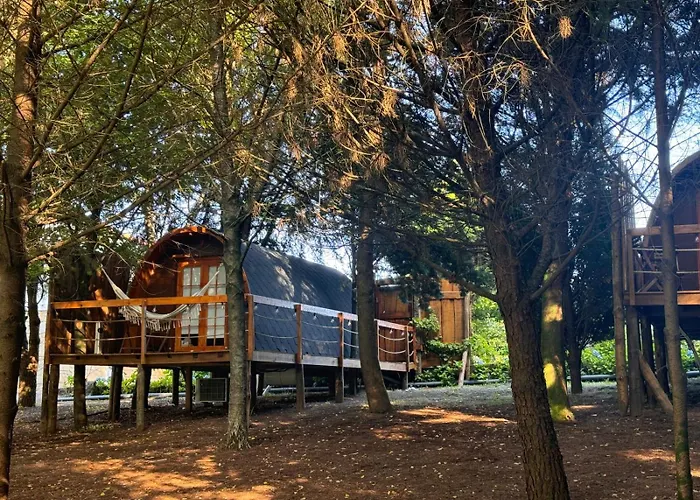 Glicínia Boutique 4* Freamunde