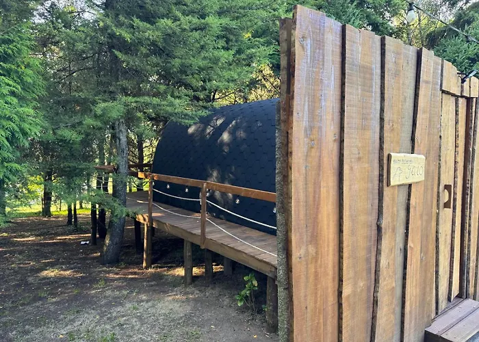 Glicínia Boutique Freamunde