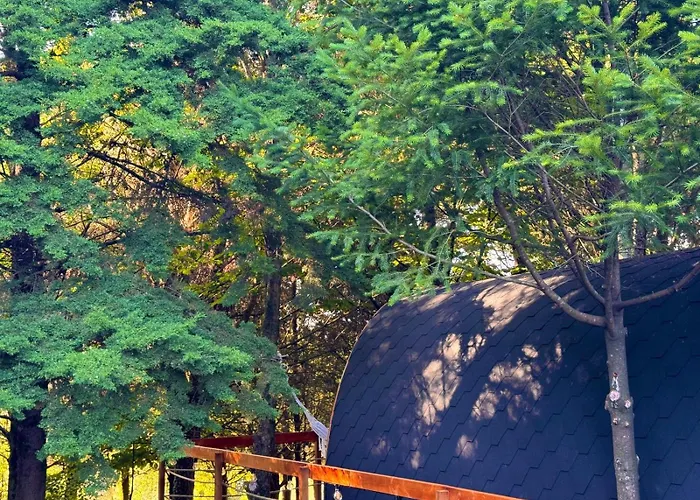 Ξενοδοχείο Glicinia Boutique Hotel 4*